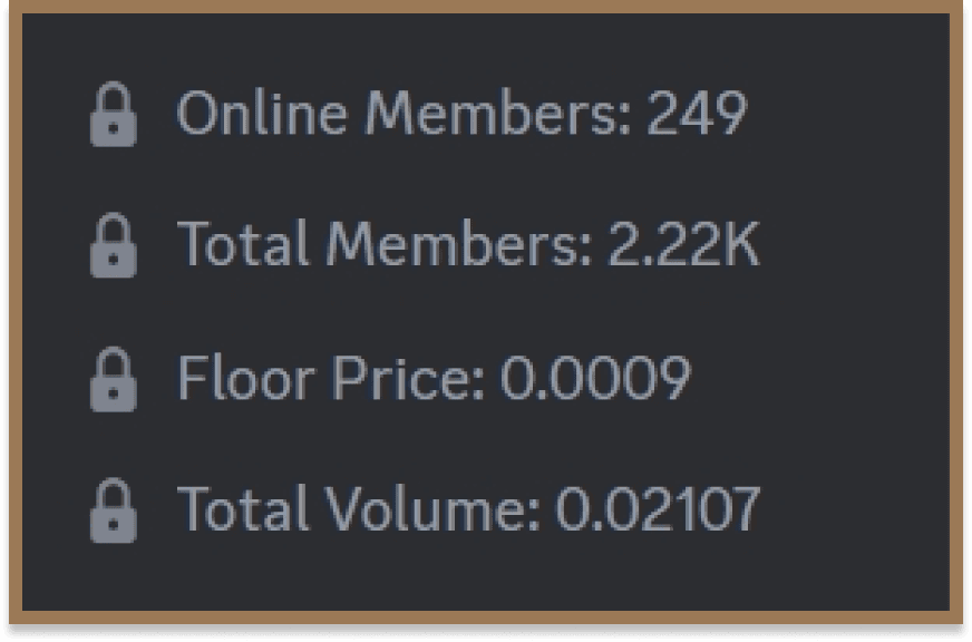 discord stats